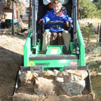 The Bobcat